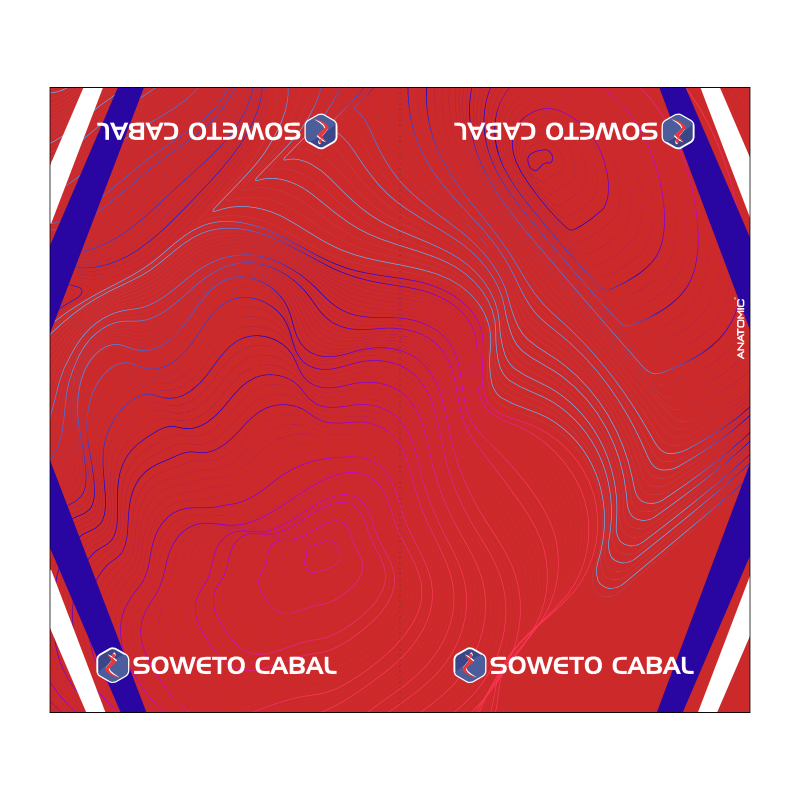 Soweto Cabal Chido