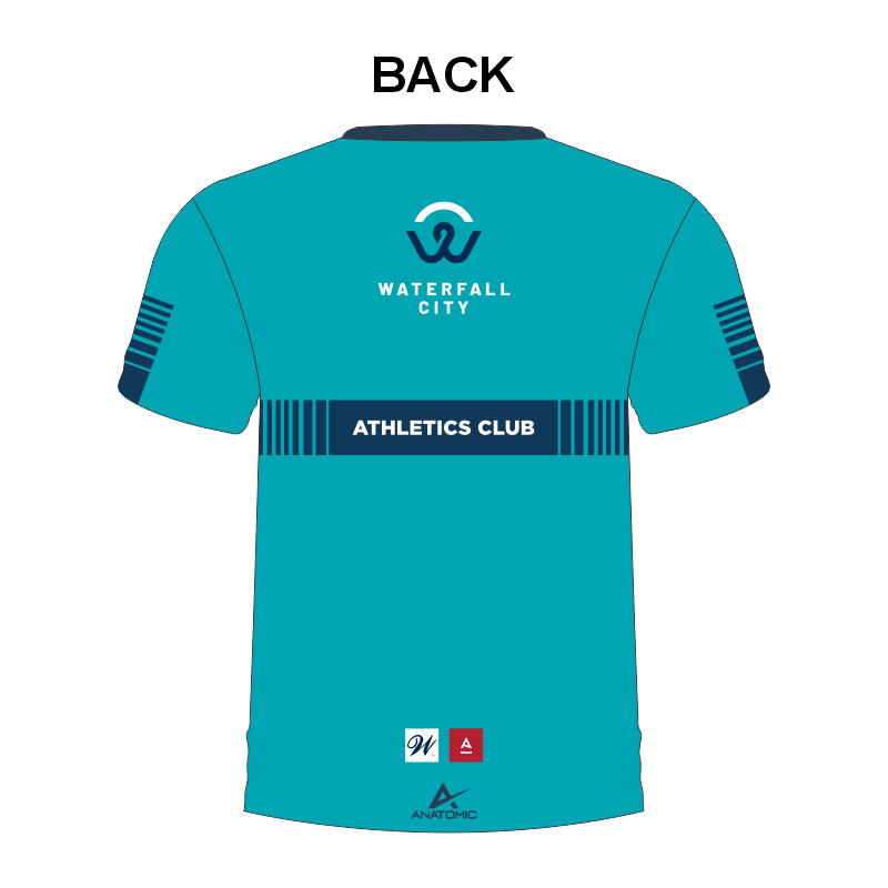 Waterfall City Mens and Ladies T-Shirt