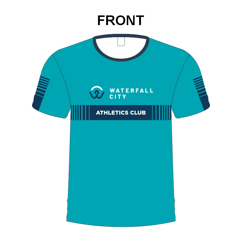 Waterfall City Mens and Ladies T-Shirt