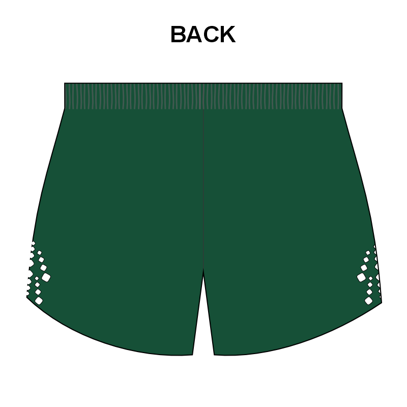Adventist Running Elite Shorts