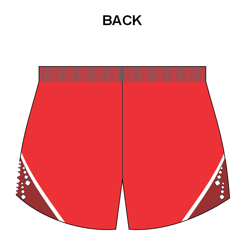 Cheetahs Mens Elite Running Shorts