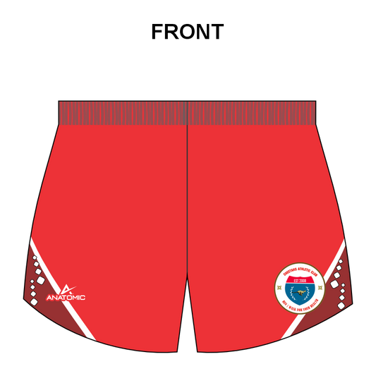 Cheetahs Mens Elite Running Shorts
